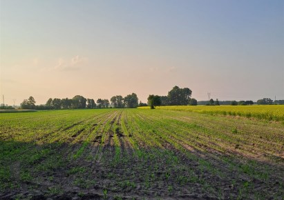 dom na sprzedaż - Poddębice, Józefów-Kolonia, Piotrów